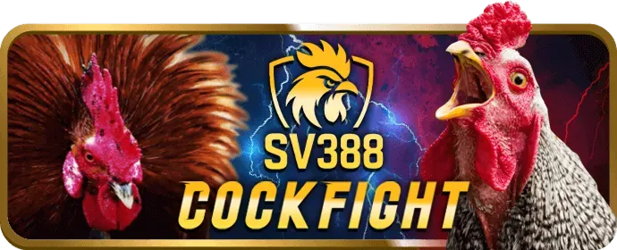 Thưởng Sinh Nhật & VIP 777x Casino